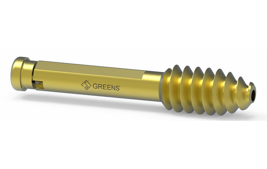 DHS Screws with Compression Screw (Short Dia-DHS Screw) [PEDIATRIC DHS SCREW]